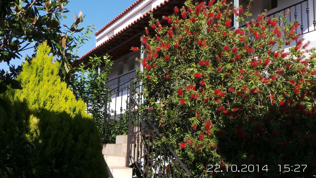 Skiathos Studios Panorama Dış mekan fotoğraf